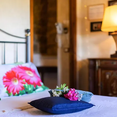 In Mit Grossem Grill Apartment Monte San Savino
