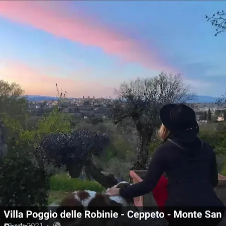In Mit Grossem Grill Monte San Savino